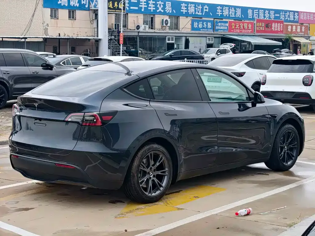 Tesla Model Y — фото 8