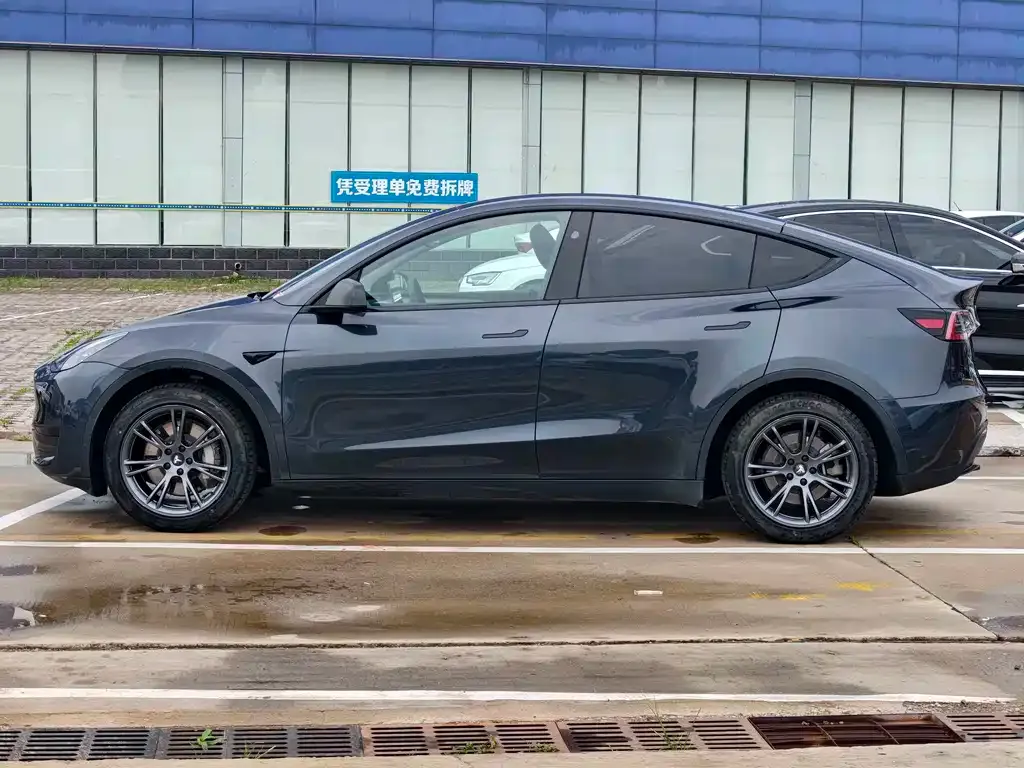 Tesla Model Y — фото 3
