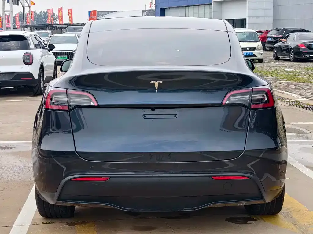 Tesla Model Y — фото 2