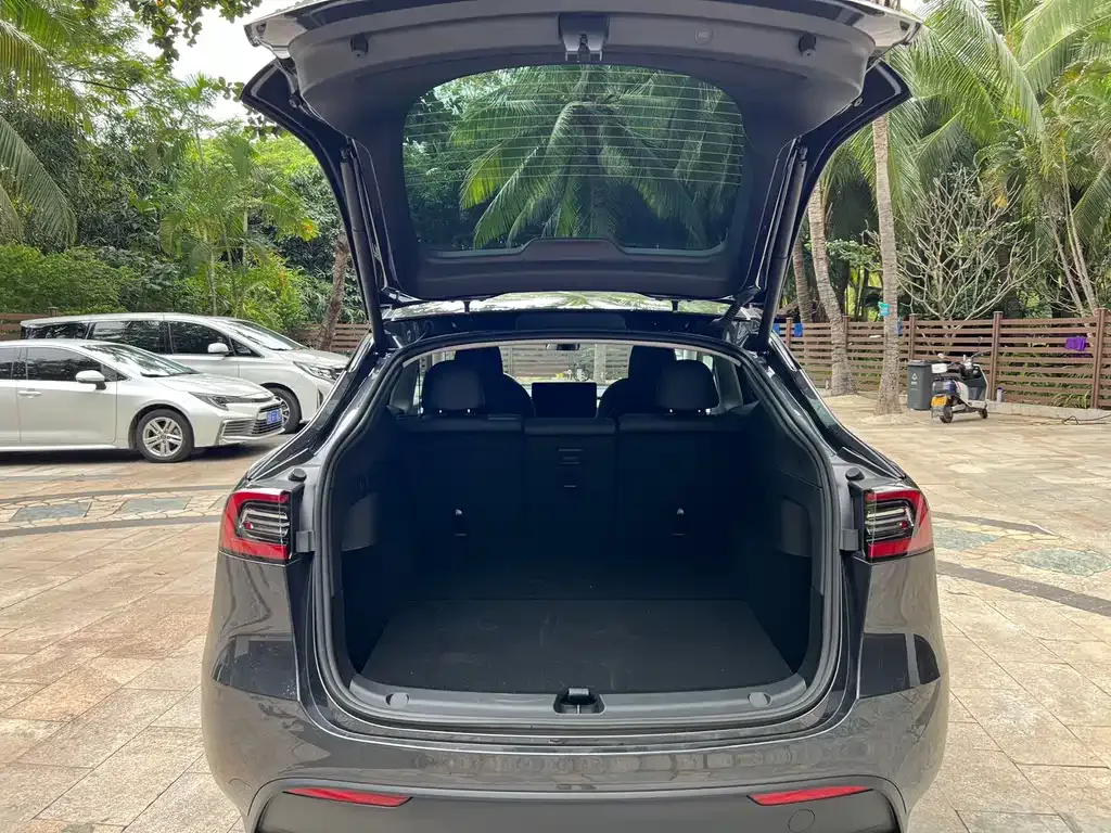 Tesla Model Y — фото 10