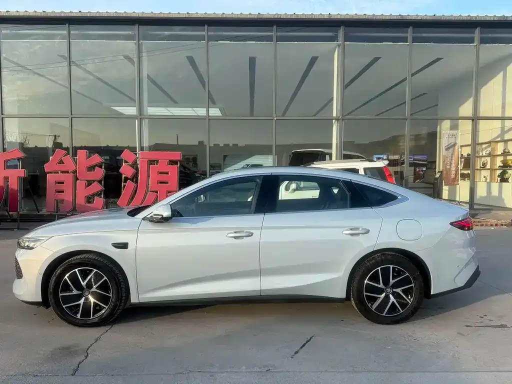 BYD Qin L — фото 4
