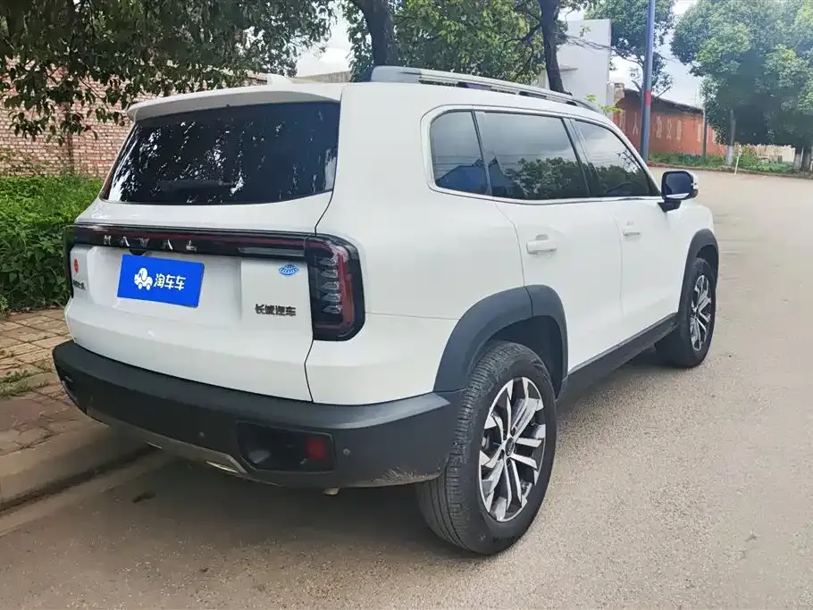Haval Big Dog 2024 из CN, фото 6