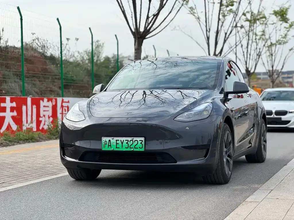 Tesla Model Y — фото 1