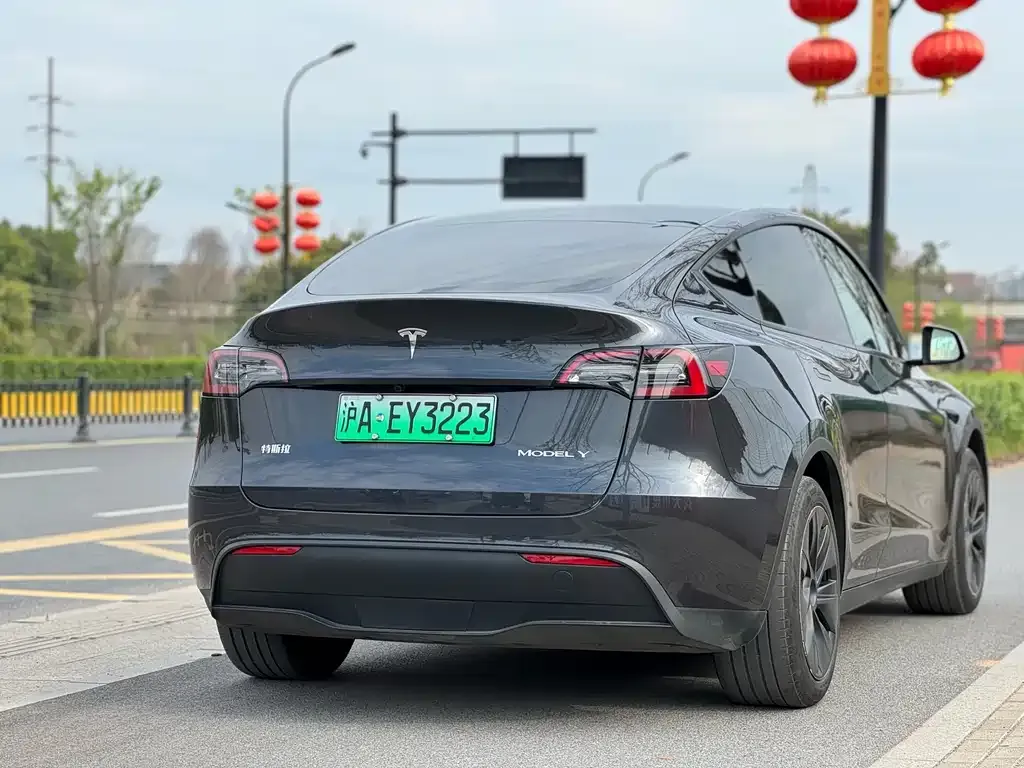 Tesla Model Y — фото 8