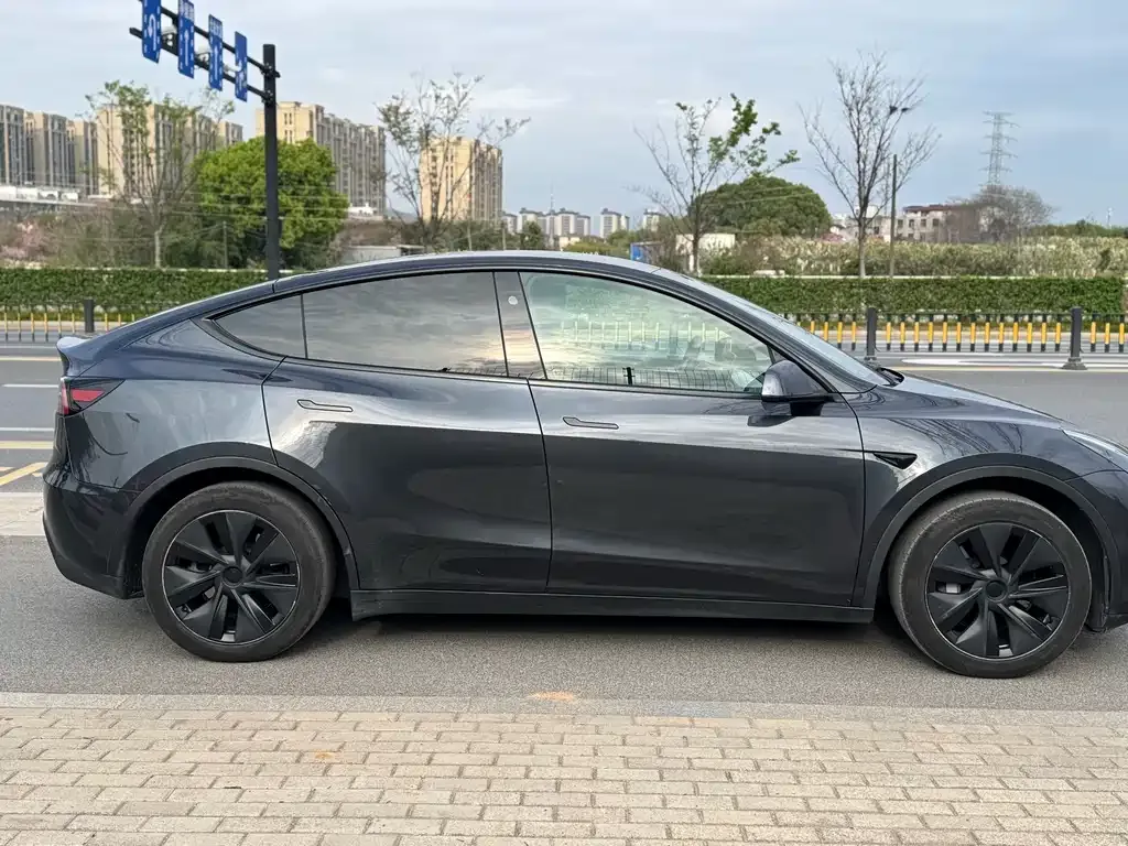 Tesla Model Y — фото 10