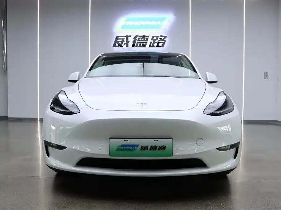 Tesla Model Y — фото 2
