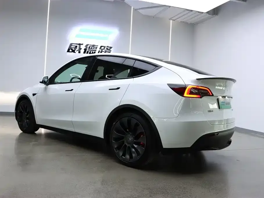 Tesla Model Y — фото 10