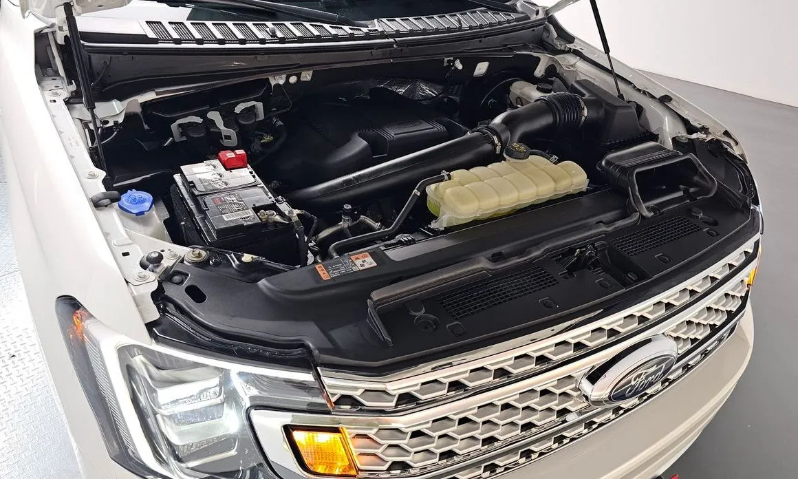 Ford Expedition 2021 из KR, фото 10