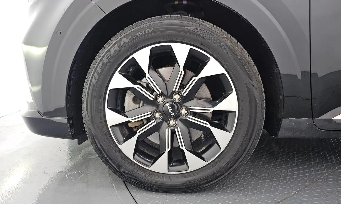 Kia Carnival — фото 10