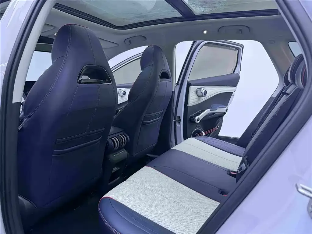 BYD Yuan Plus — фото 9