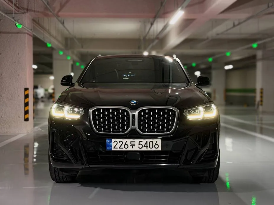 BMW X4 xDrive20i M Sport 1