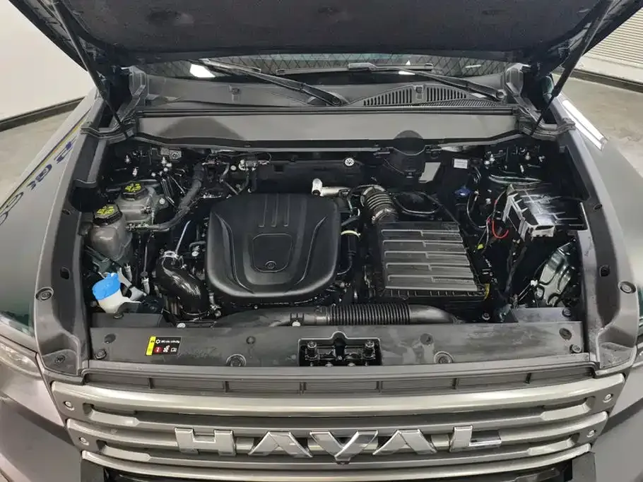 Haval Menglong New Energy 2024 из CN, фото 10