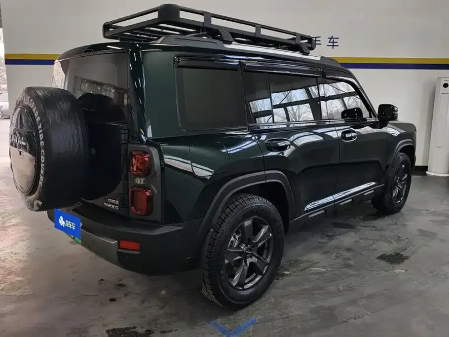 Haval Menglong New Energy 2024 из CN, фото 5