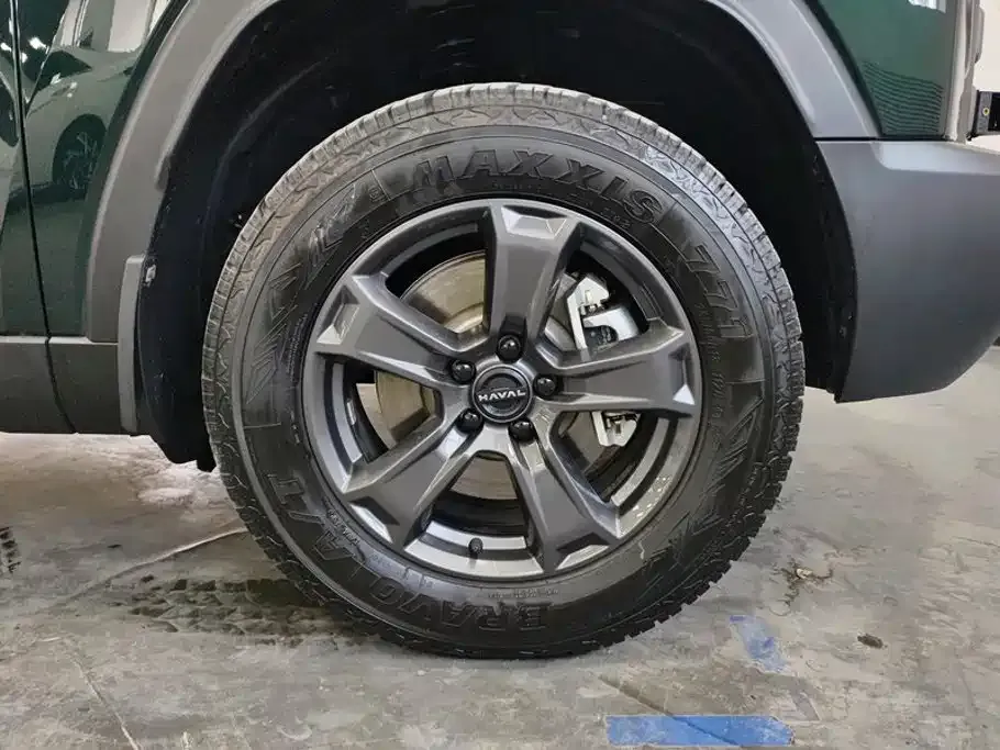 Haval Menglong New Energy 2024 из CN, фото 3