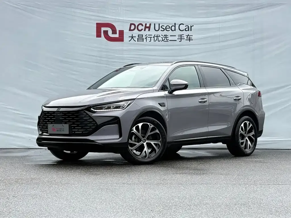 BYD Tang New Energy — фото 1