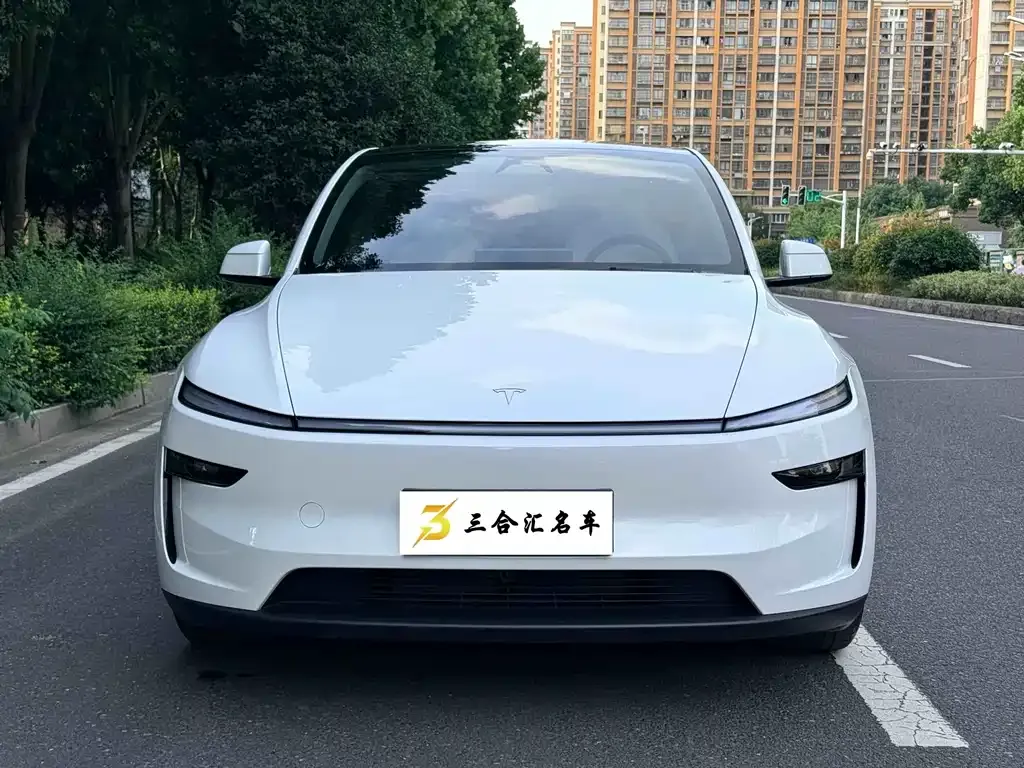 Tesla Model Y — фото 2