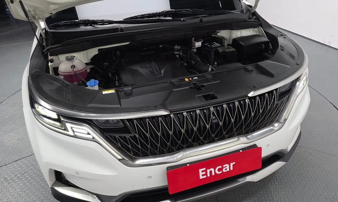 Kia Carnival — фото 10