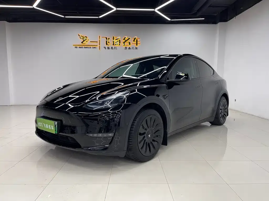 Tesla Model Y — фото 1