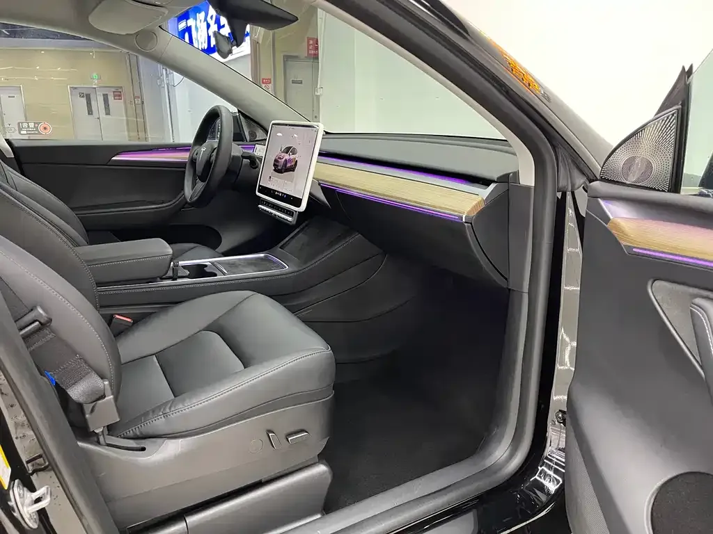 Tesla Model Y — фото 10