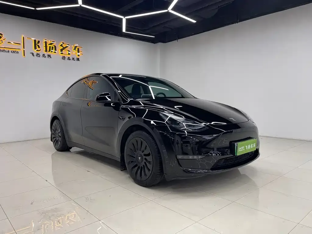 Tesla Model Y — фото 9