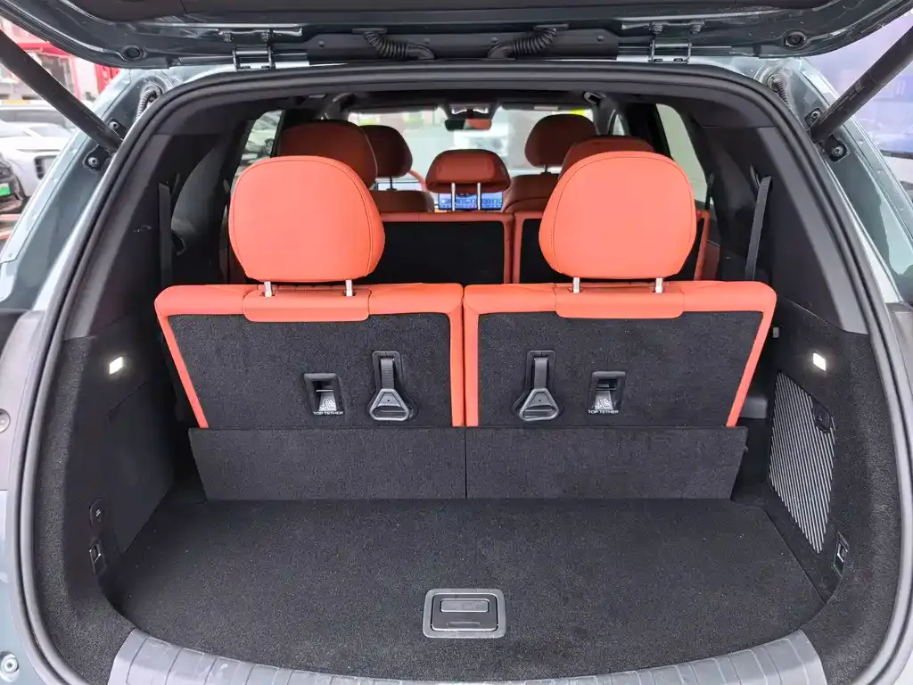 BYD Tang L 2025 из CN, фото 3