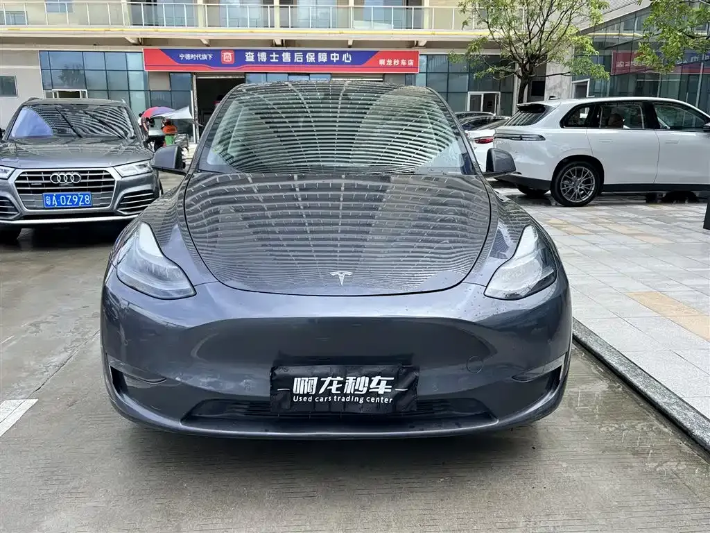 Tesla Model Y — фото 8