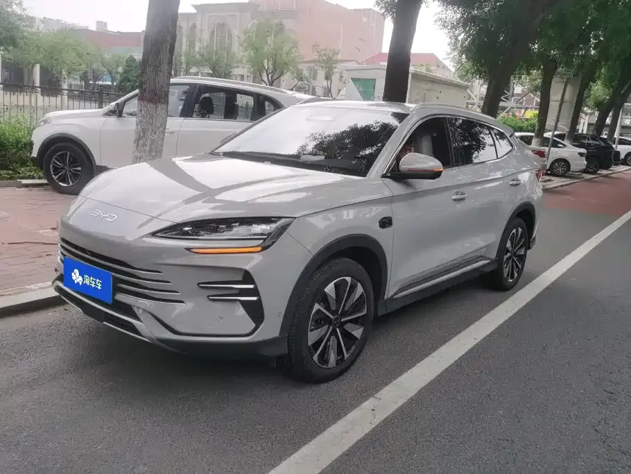 BYD PLUS New Energy — фото 1