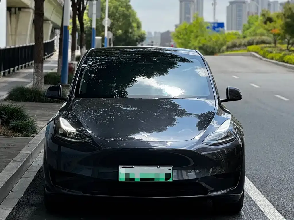 Tesla Model Y — фото 3