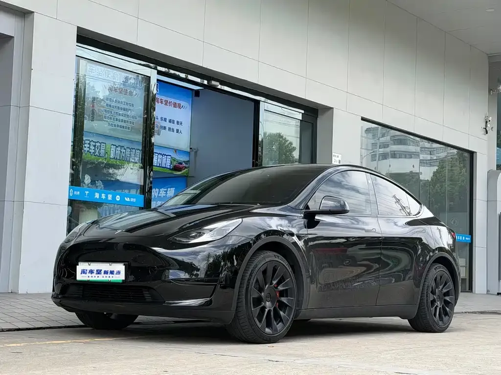Tesla Model Y — фото 1