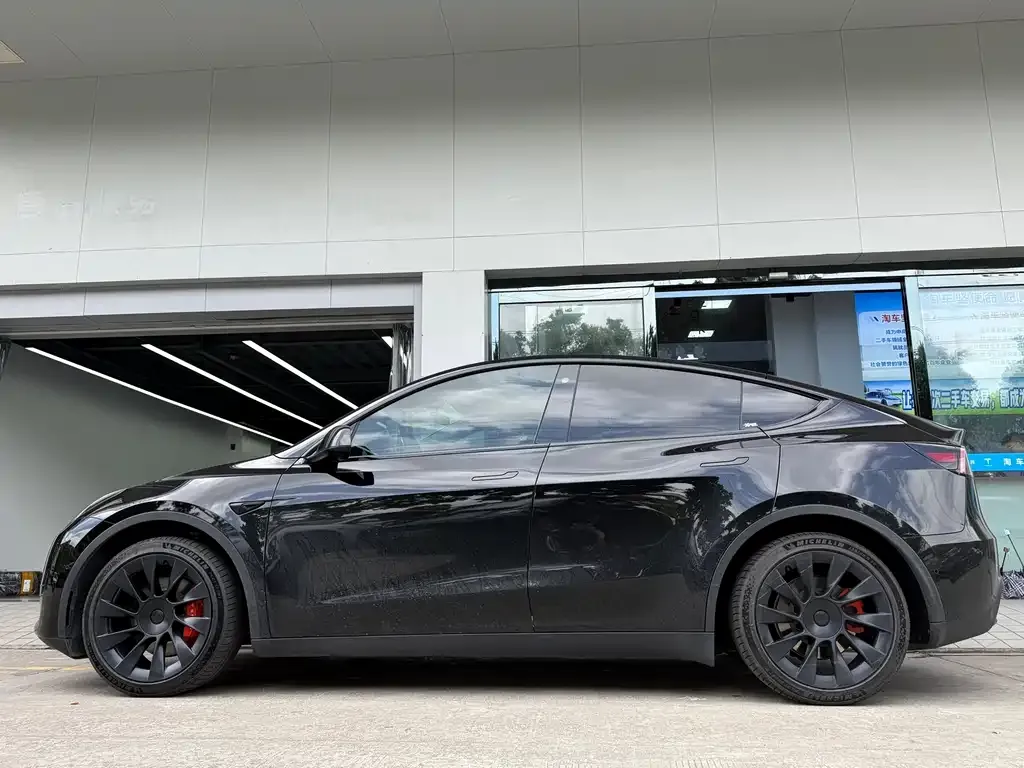 Tesla Model Y — фото 4