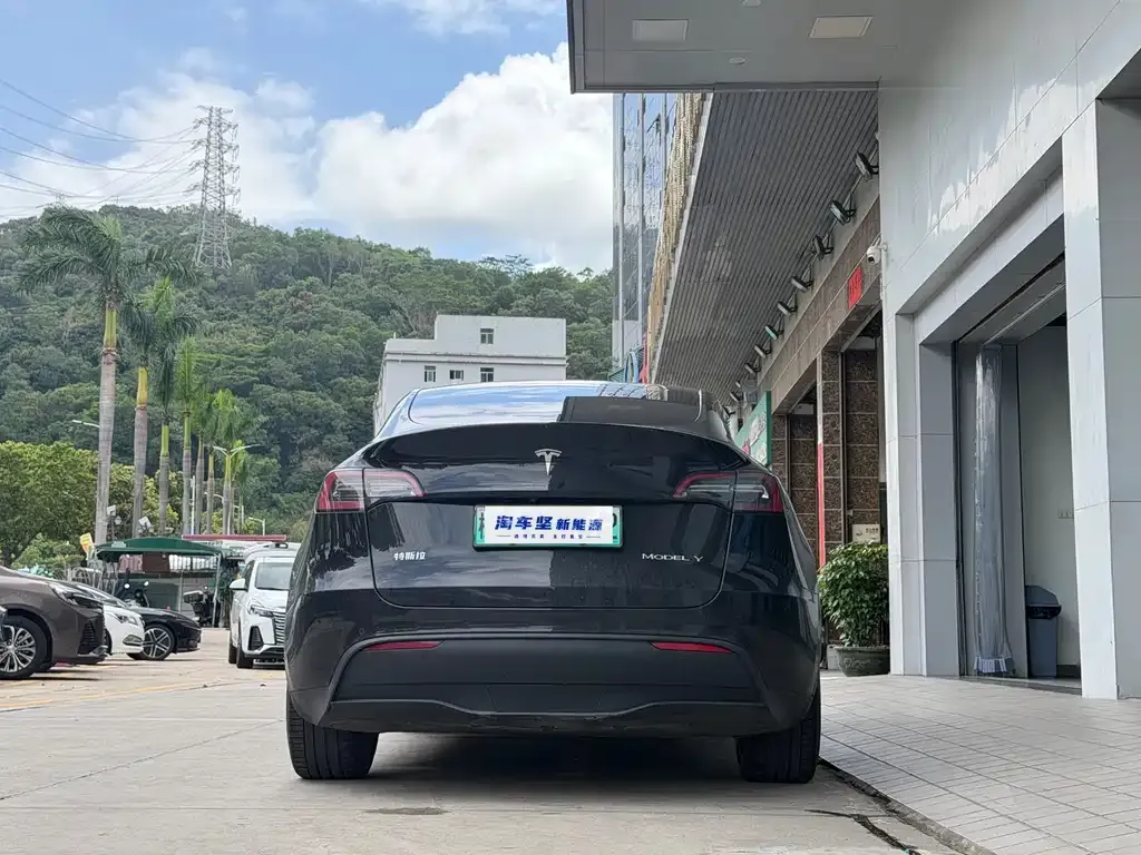 Tesla Model Y — фото 10