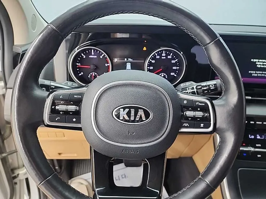 Kia Carnival — фото 9