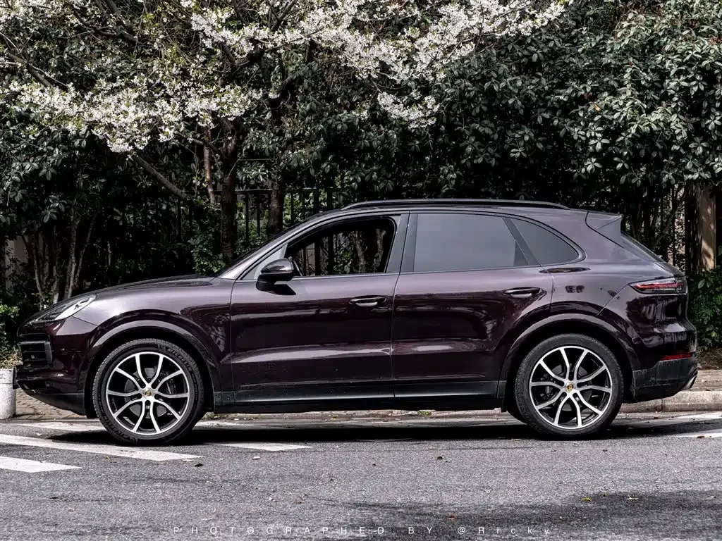 Porsche Cayenne — фото 10