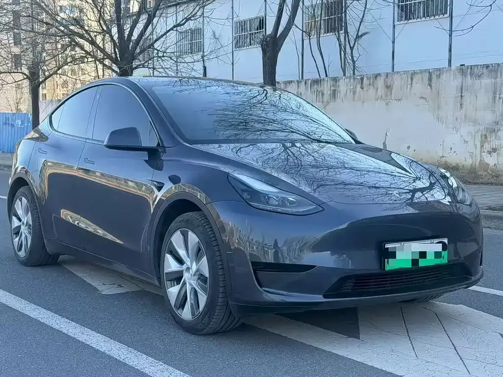 Tesla Model Y — фото 1