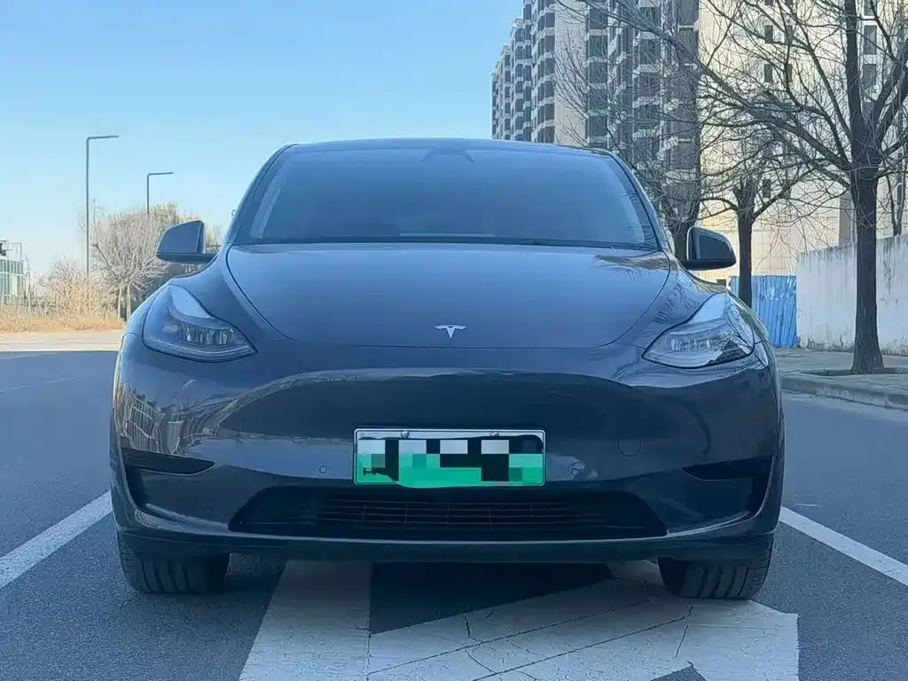 Tesla Model Y — фото 3