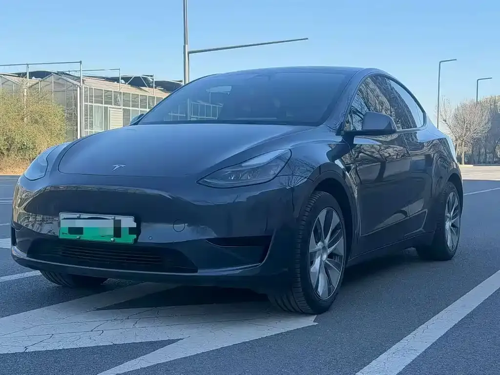Tesla Model Y — фото 2
