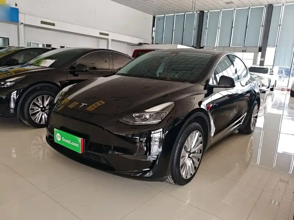 Tesla Model Y — фото 9