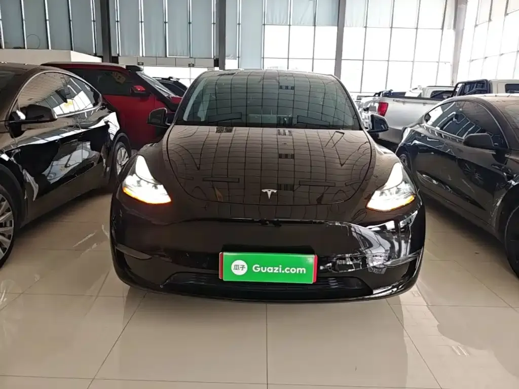 Tesla Model Y — фото 3