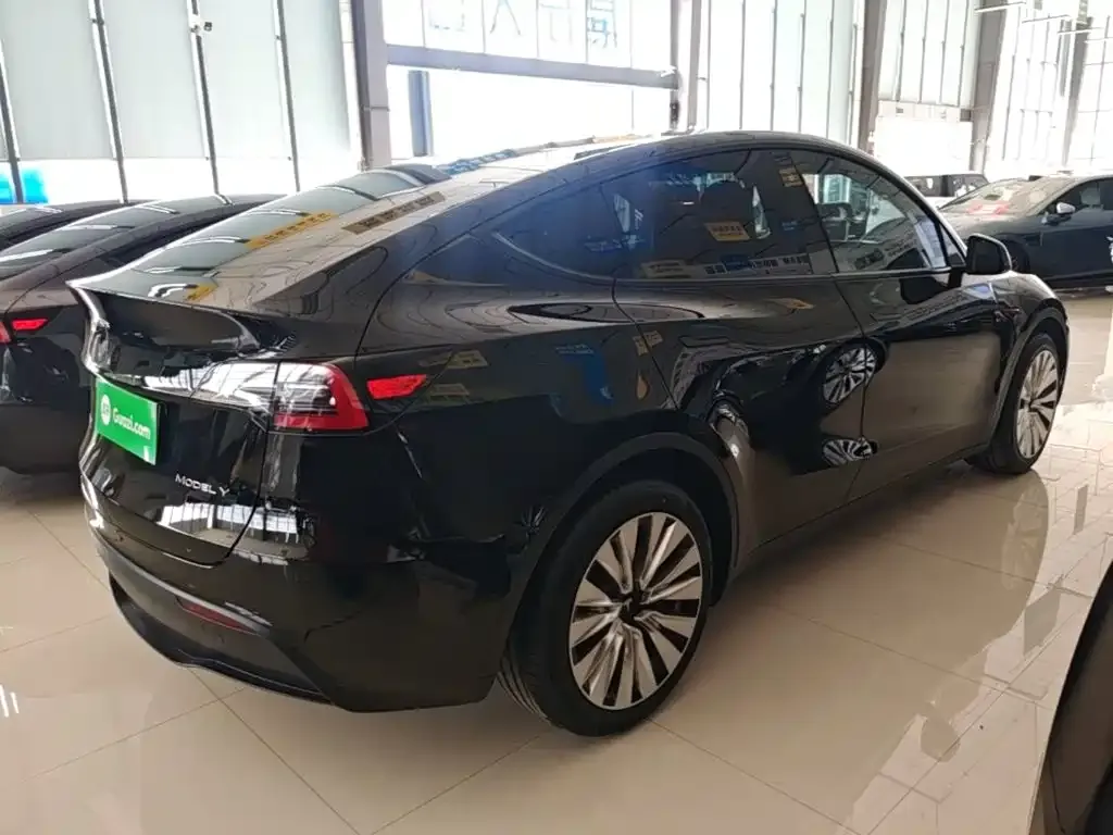 Tesla Model Y — фото 4