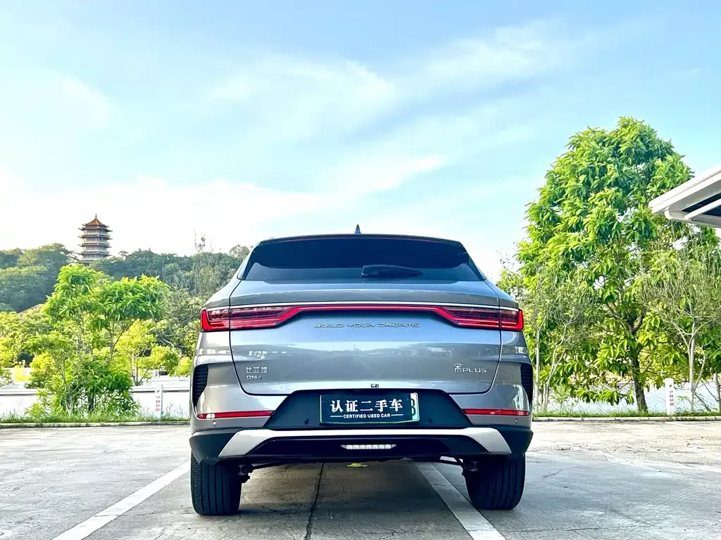 BYD PLUS New Energy — фото 9