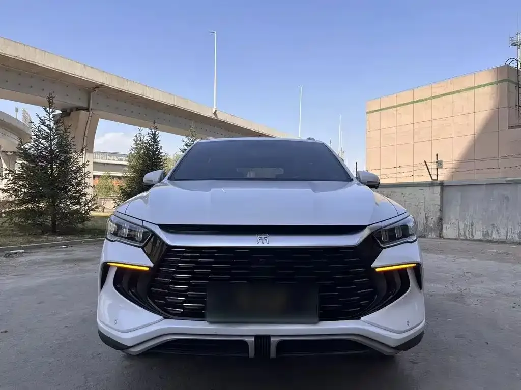 BYD Pro New Energy — фото 2