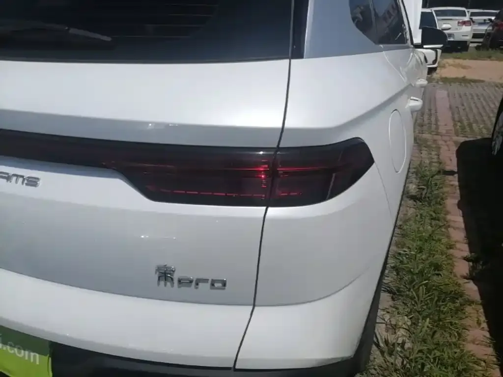 BYD Pro New Energy — фото 10