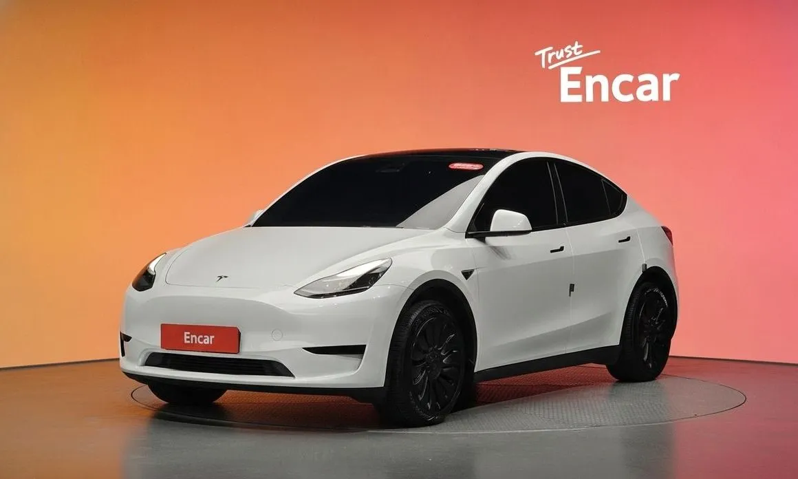 Tesla Model Y — фото 1
