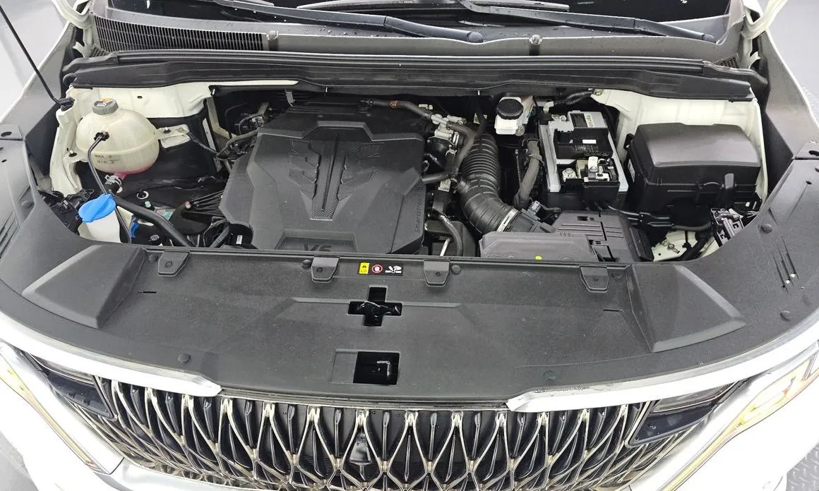 Kia Carnival — фото 10