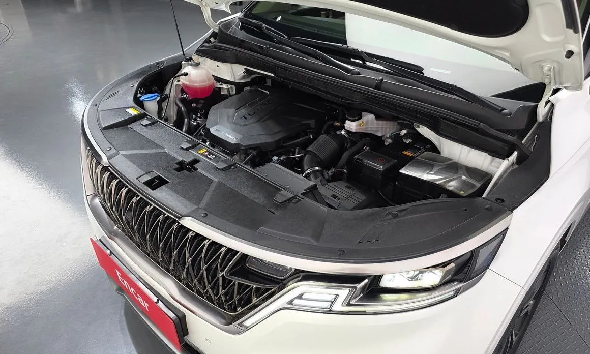 Kia Carnival — фото 10