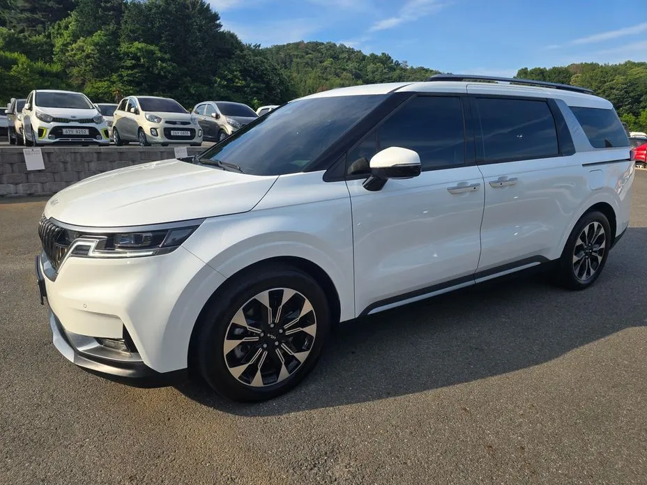 Kia Carnival — фото 10