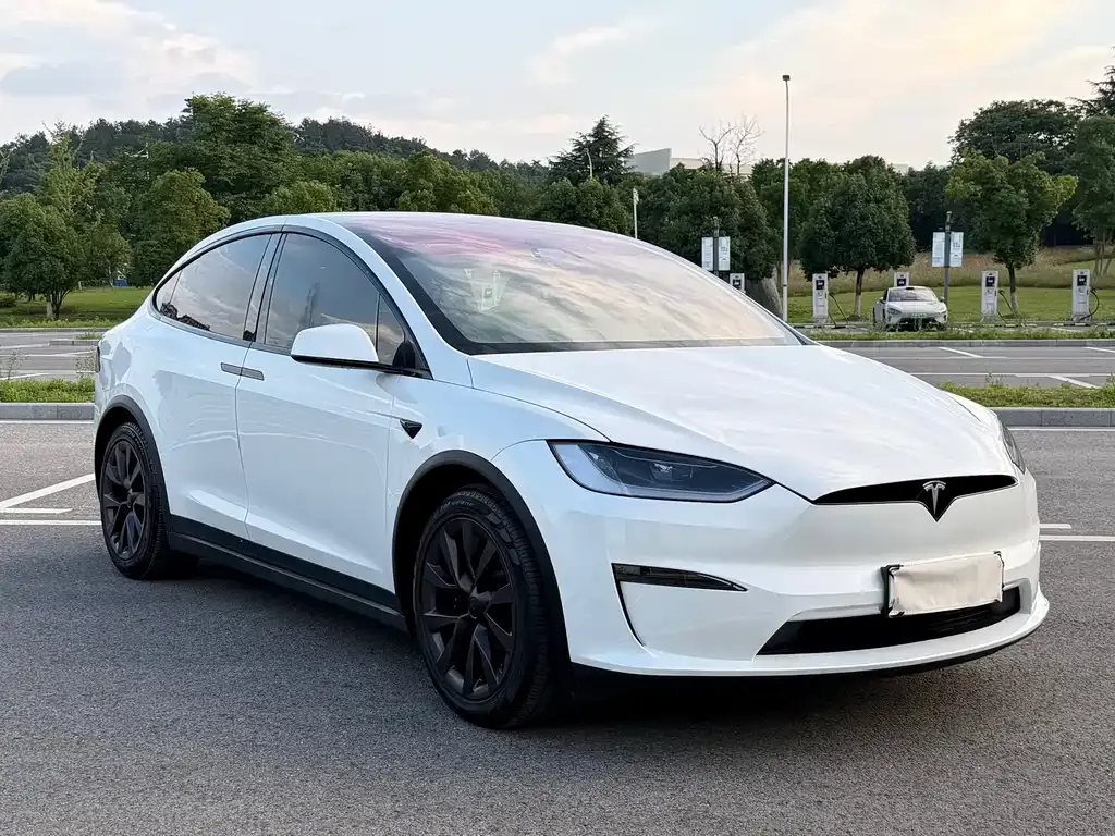 Tesla Model X 2023 из CN, фото 8