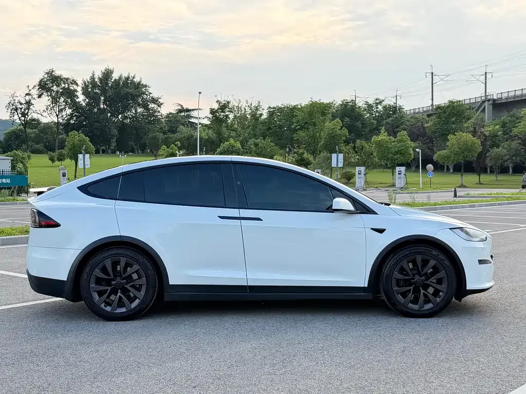 Tesla Model X 2023 из CN, фото 7