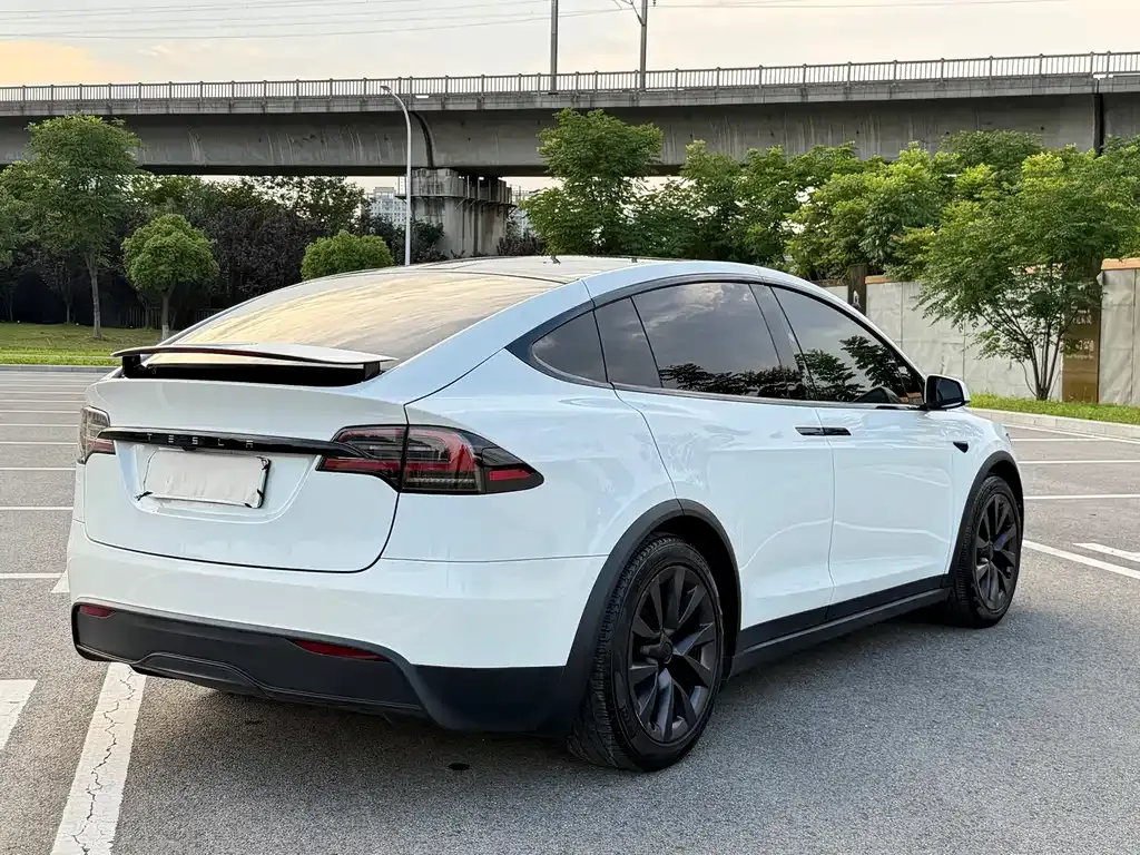 Tesla Model X 2023 из CN, фото 4