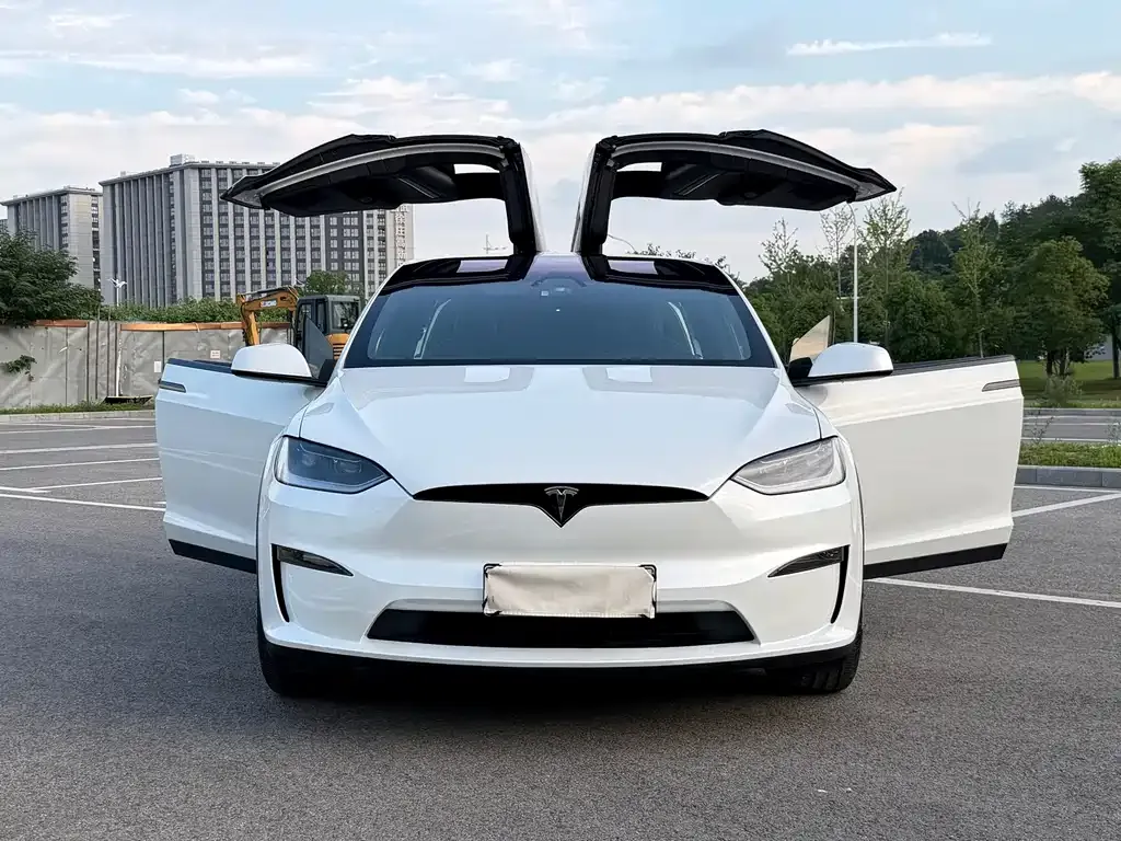 Tesla Model X 2023 из CN, фото 5